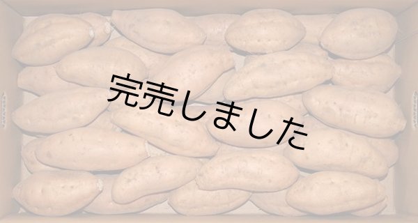 画像1: 安納こがねＳ (1)