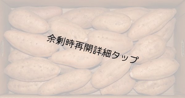 画像1: 安納こがねＭ (1)