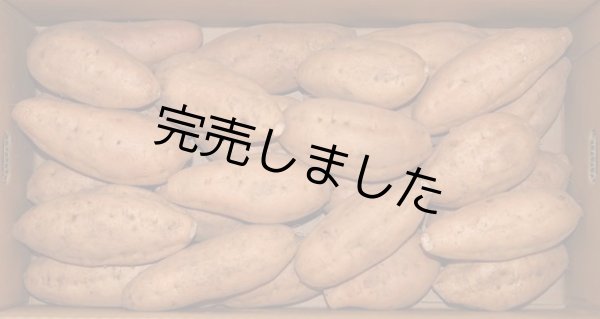 画像1: 安納こがねＭ (1)